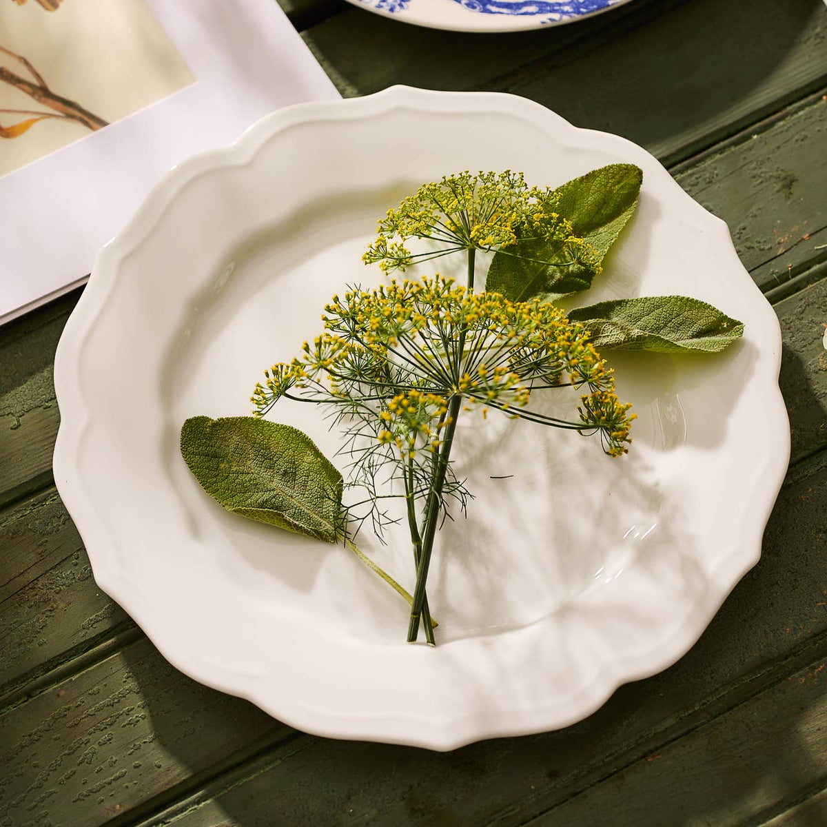 Stella Scalloped White Dinner Plate