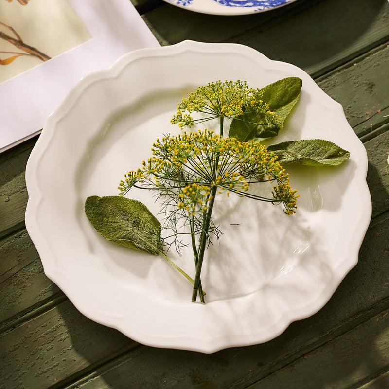 Stella Scalloped White Dinner Plate